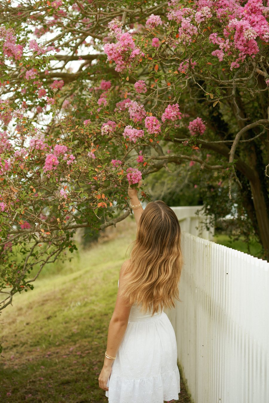 A portrait subject reaching toward crape myrtle blossom