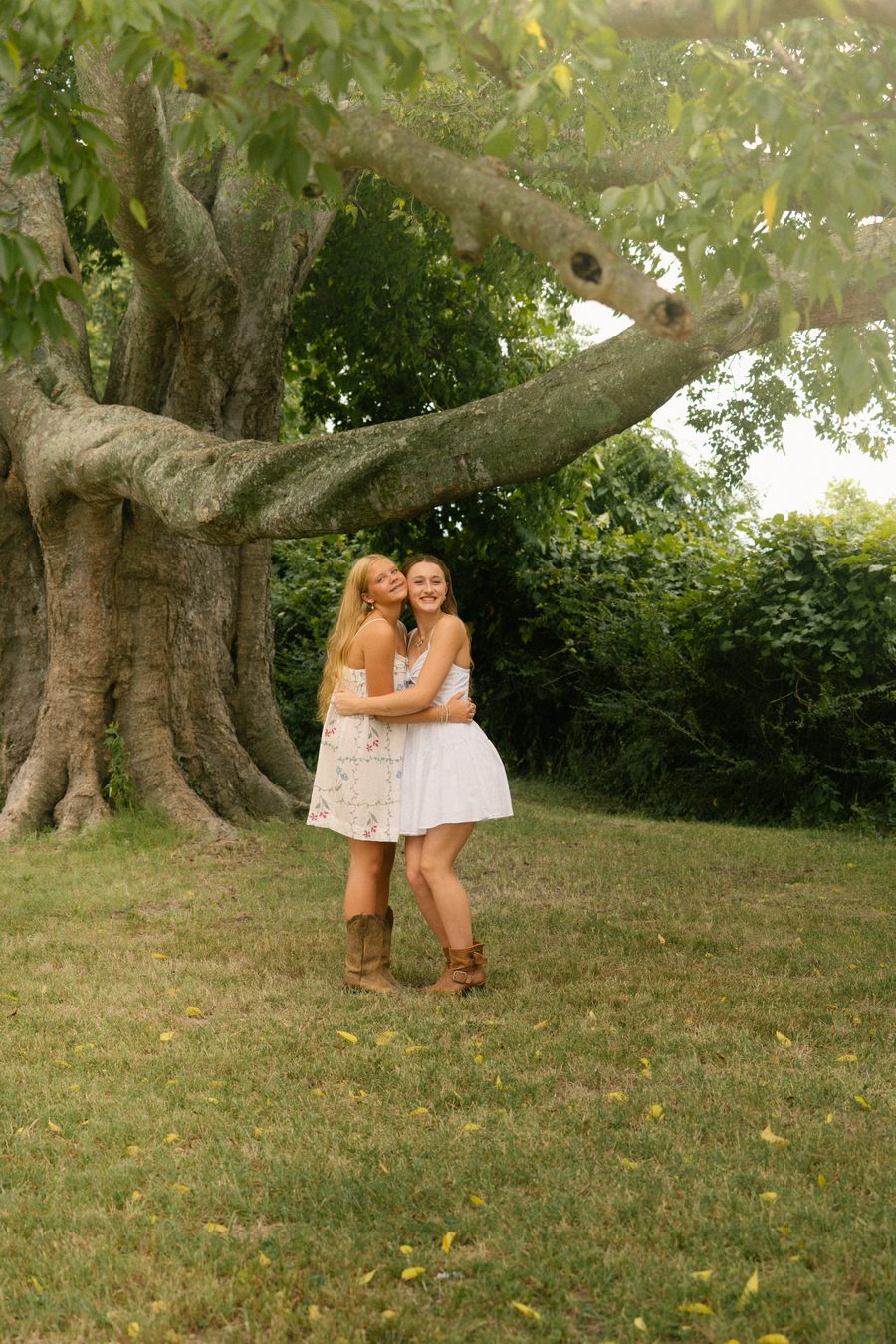 Two friends beneath a spreading live oak