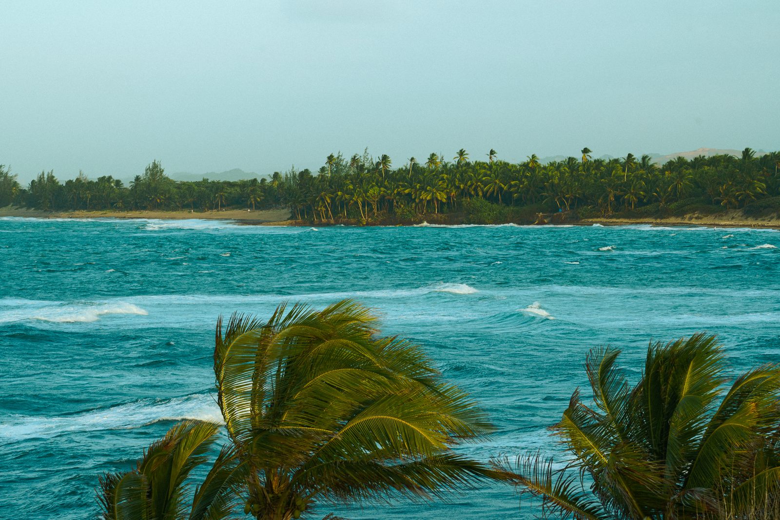 Turquoise water and palms along a tropical coastline