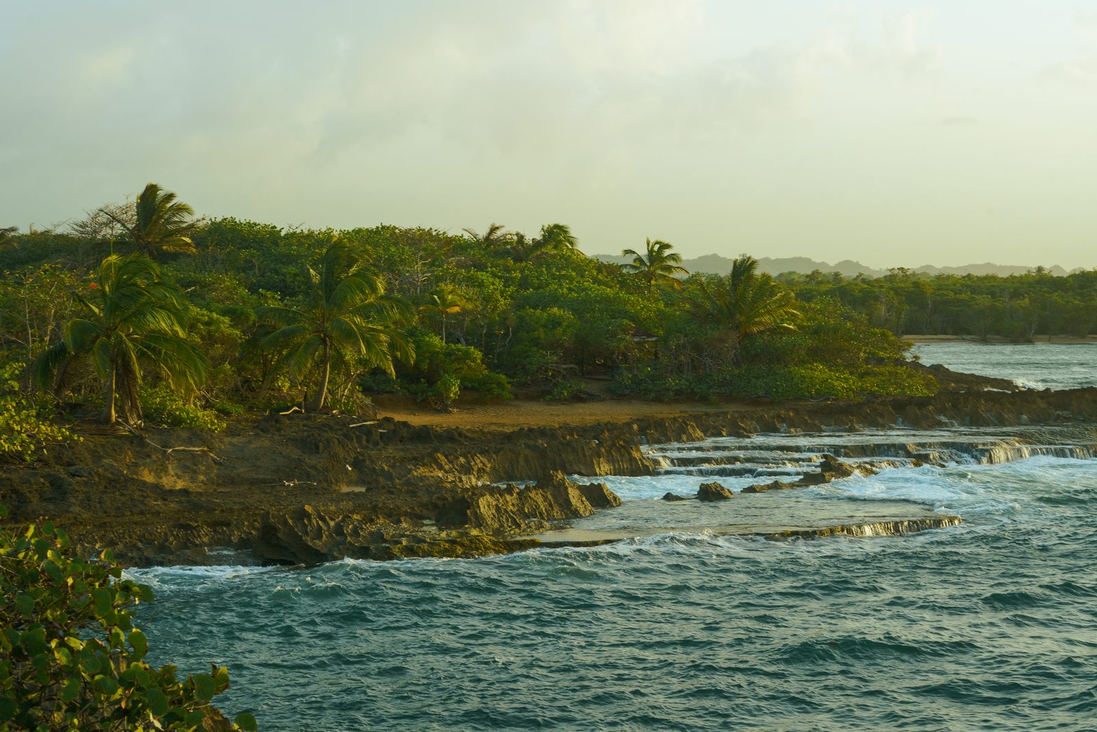 A scenic frame from The Resident Suite